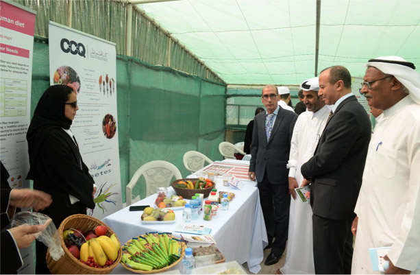 CCQ organizes “Aware Youth for Better Health”